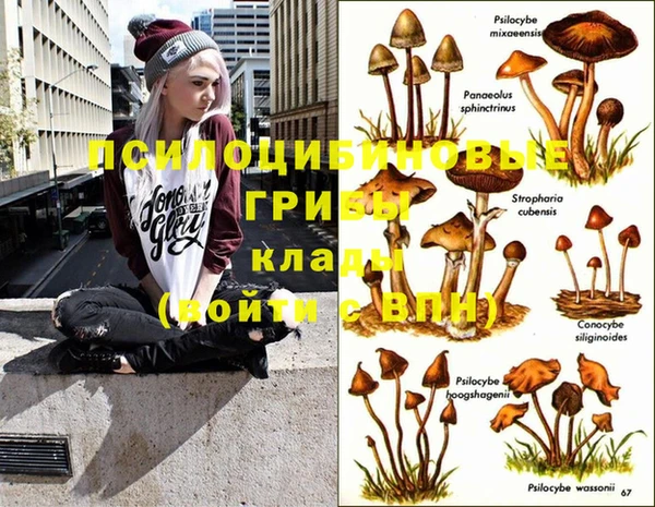 каннабис Слюдянка