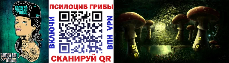 Псилоцибиновые грибы мухоморы  Купить  Щёлкино 